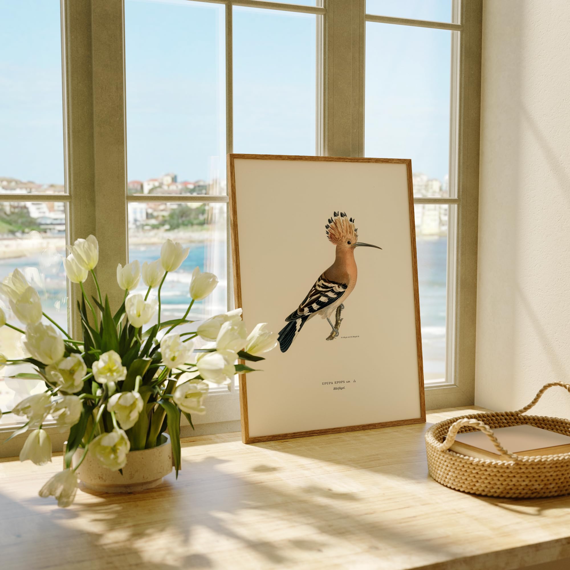 Amazon.com: Vintage Bird Art Prints (Set of 6) - Unframed - 8x10s